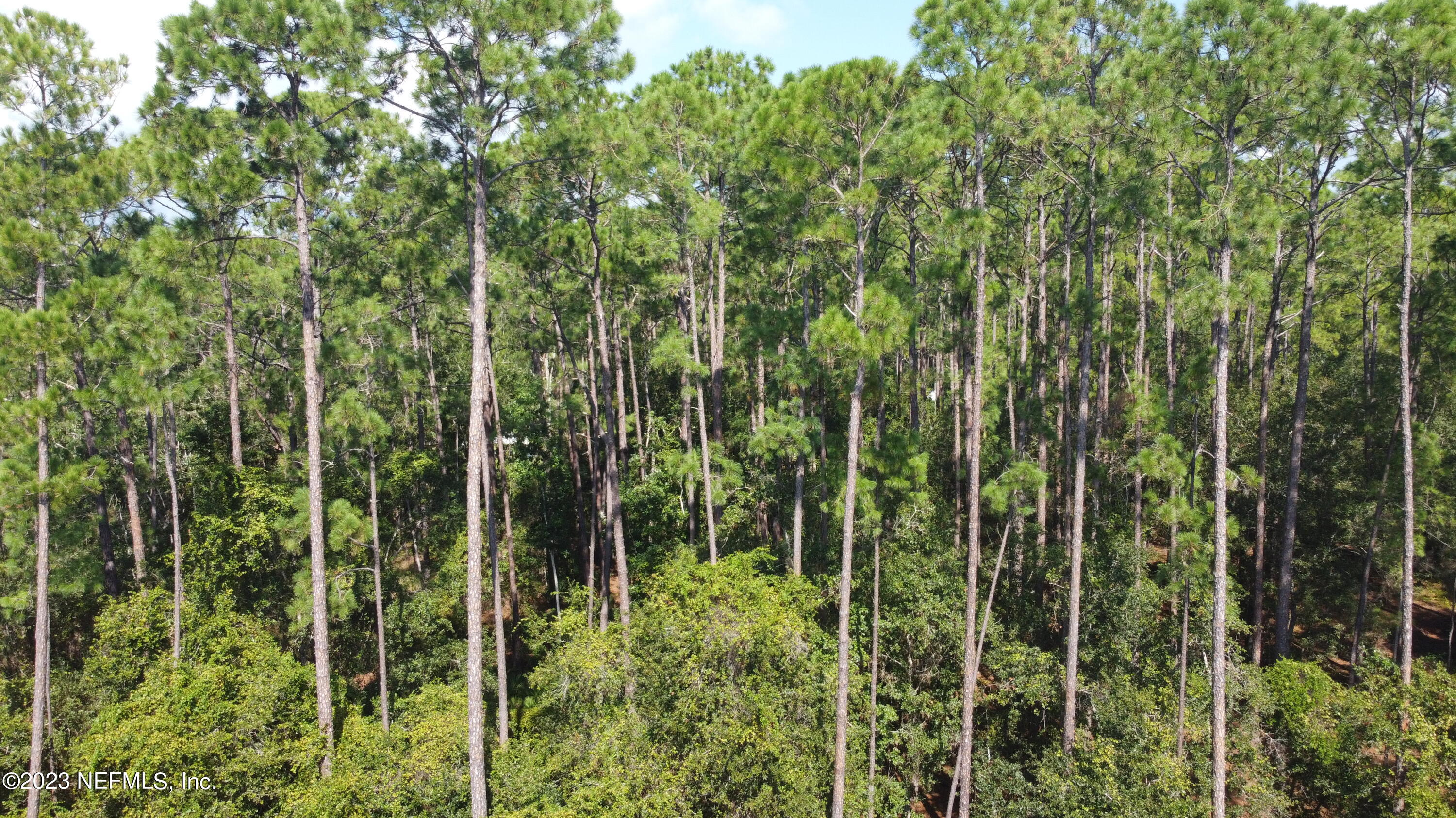 136 Georgetown Denver Road Georgetown, FL 32139 - Photo 17 of 45 DJI_0506