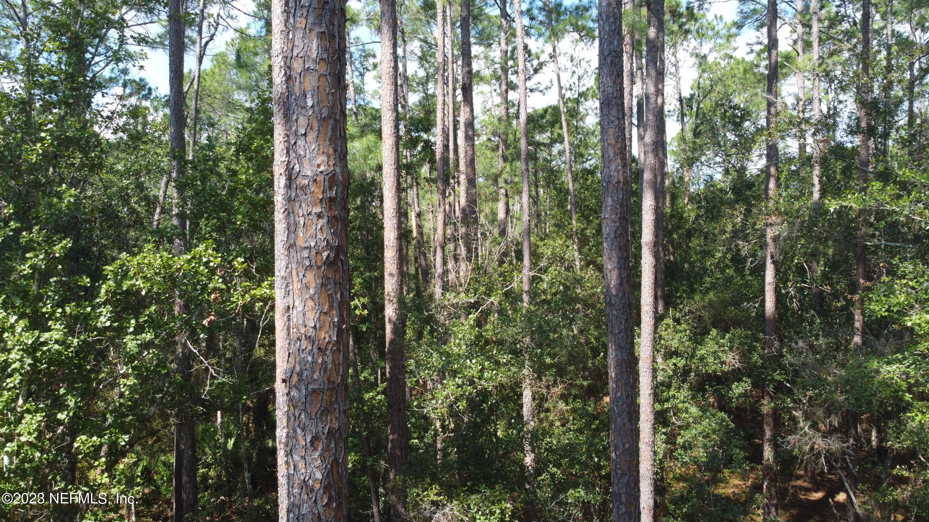 136 Georgetown Denver Road Georgetown, FL 32139 - Photo 20 of 45 DJI_0527 - Copy