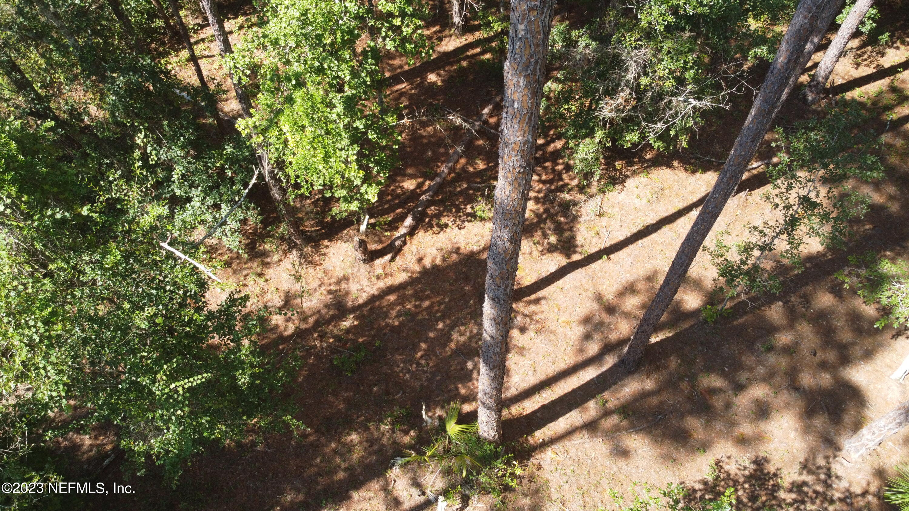 136 Georgetown Denver Road Georgetown, FL 32139 - Photo 21 of 45 DJI_0531 - Copy