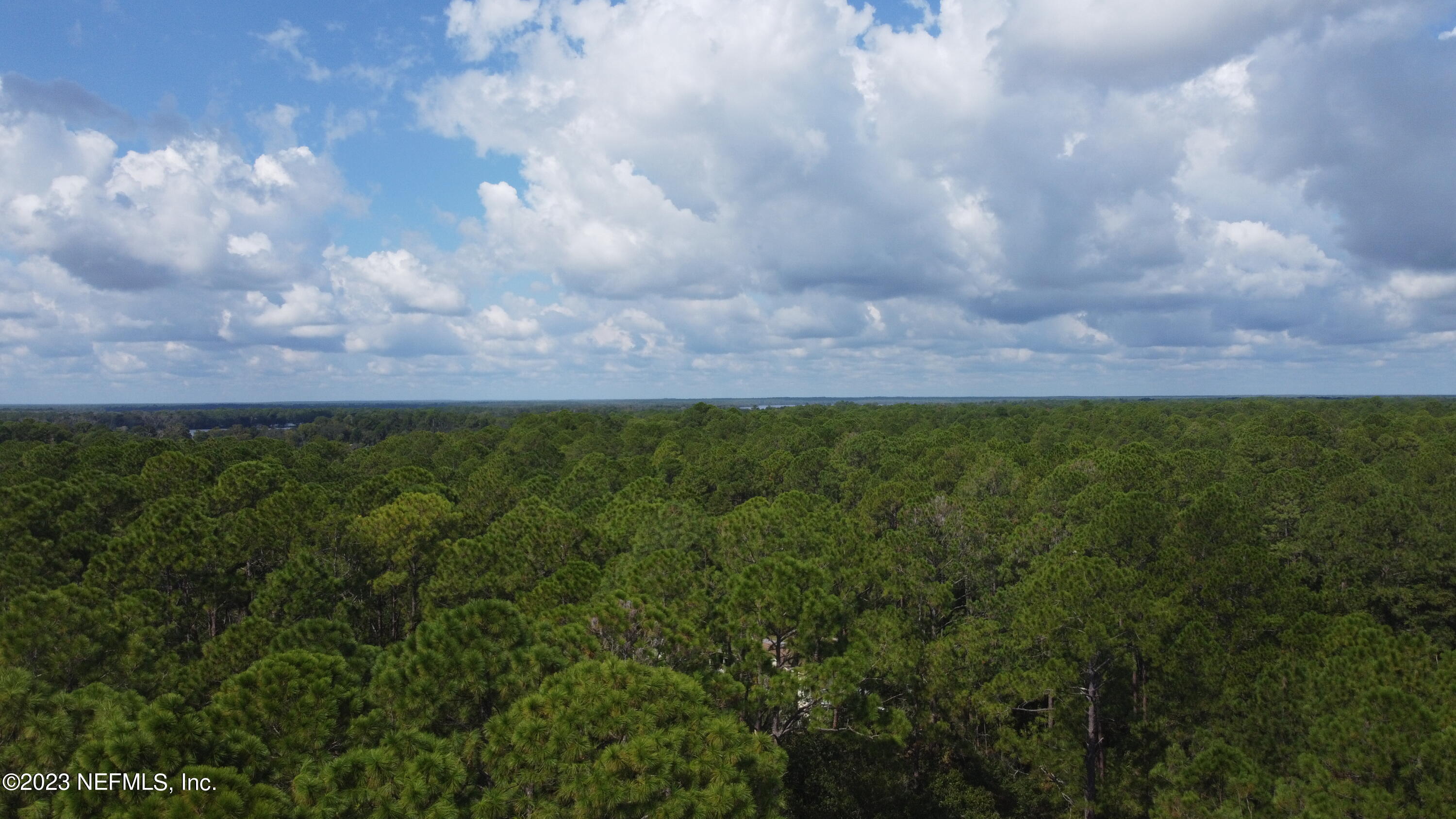 136 Georgetown Denver Road Georgetown, FL 32139 - Photo 23 of 45 DJI_0533 - Copy