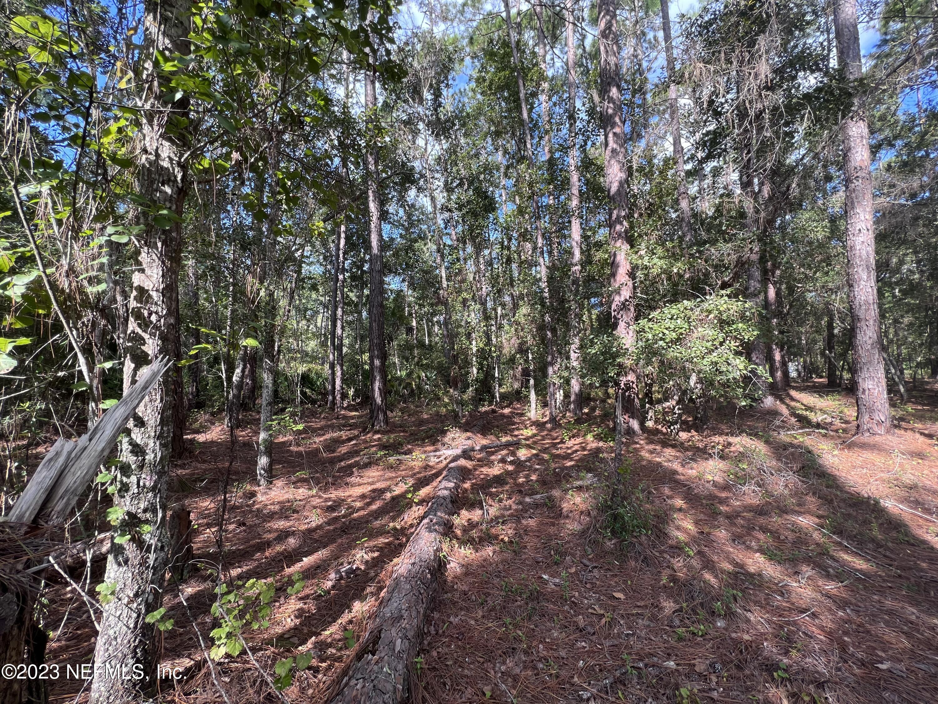 136 Georgetown Denver Road Georgetown, FL 32139 - Photo 24 of 45 IMG_4467 - Copy