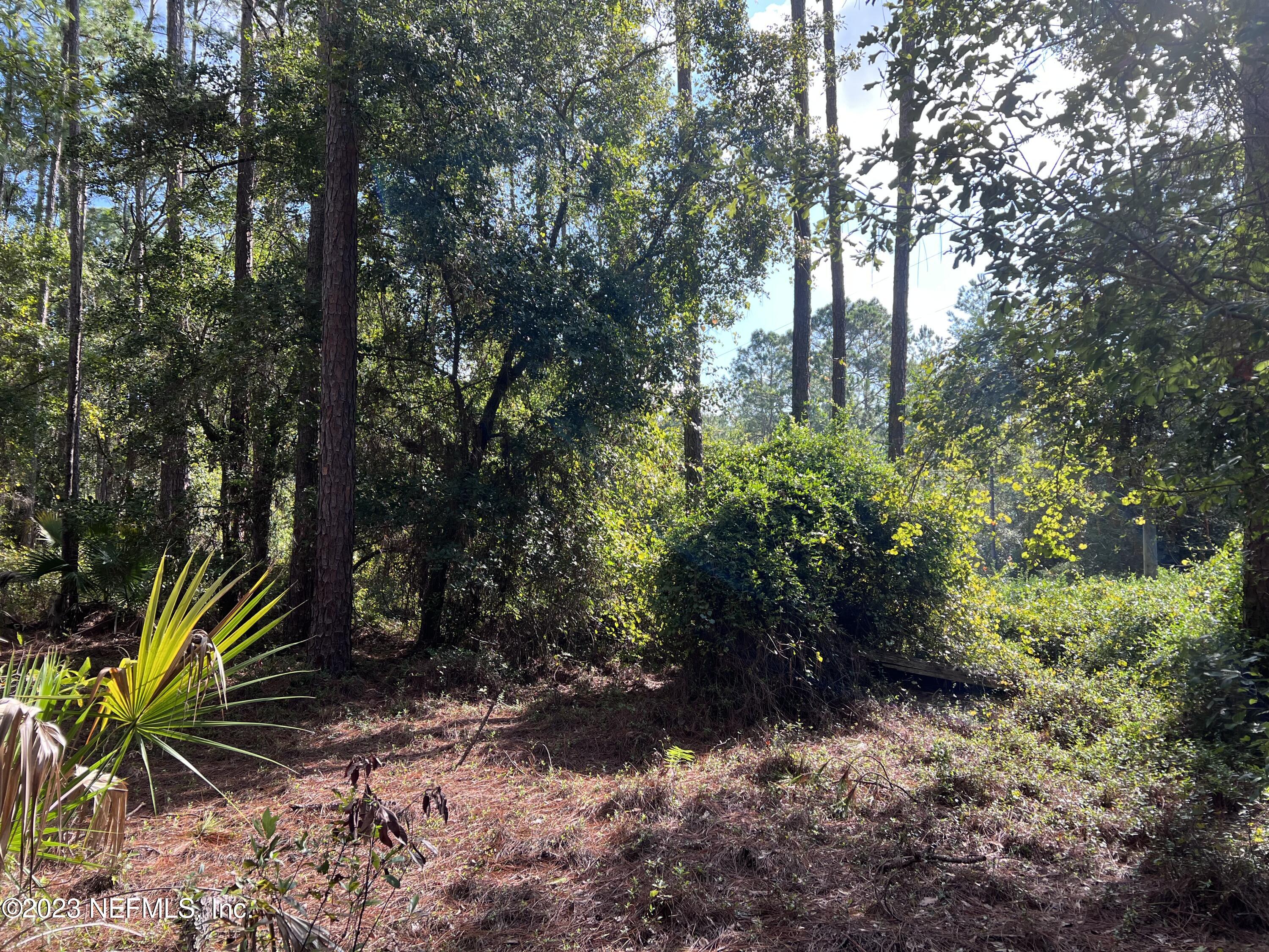 136 Georgetown Denver Road Georgetown, FL 32139 - Photo 25 of 45 IMG_4471