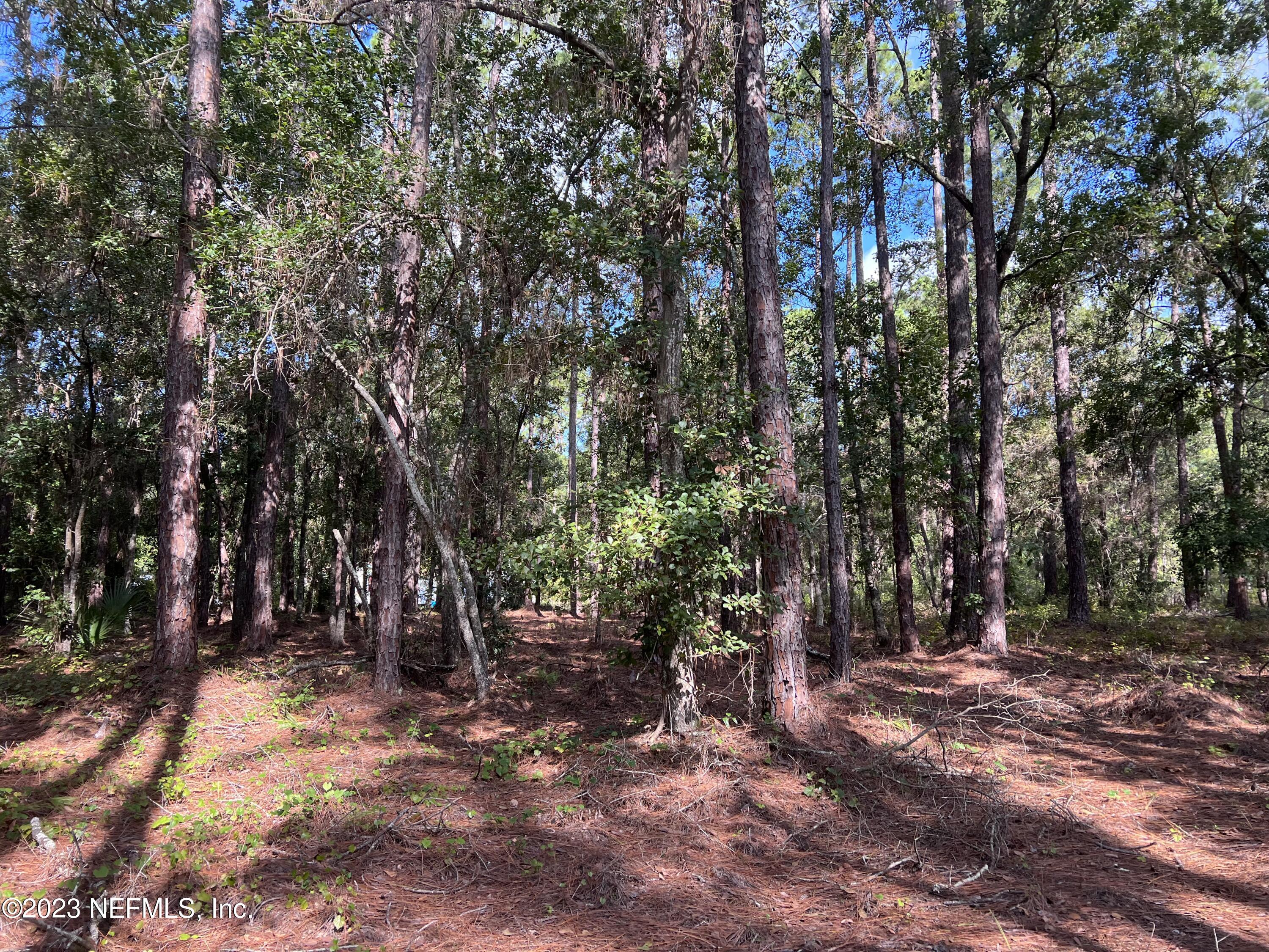 136 Georgetown Denver Road Georgetown, FL 32139 - Photo 27 of 45 IMG_4473
