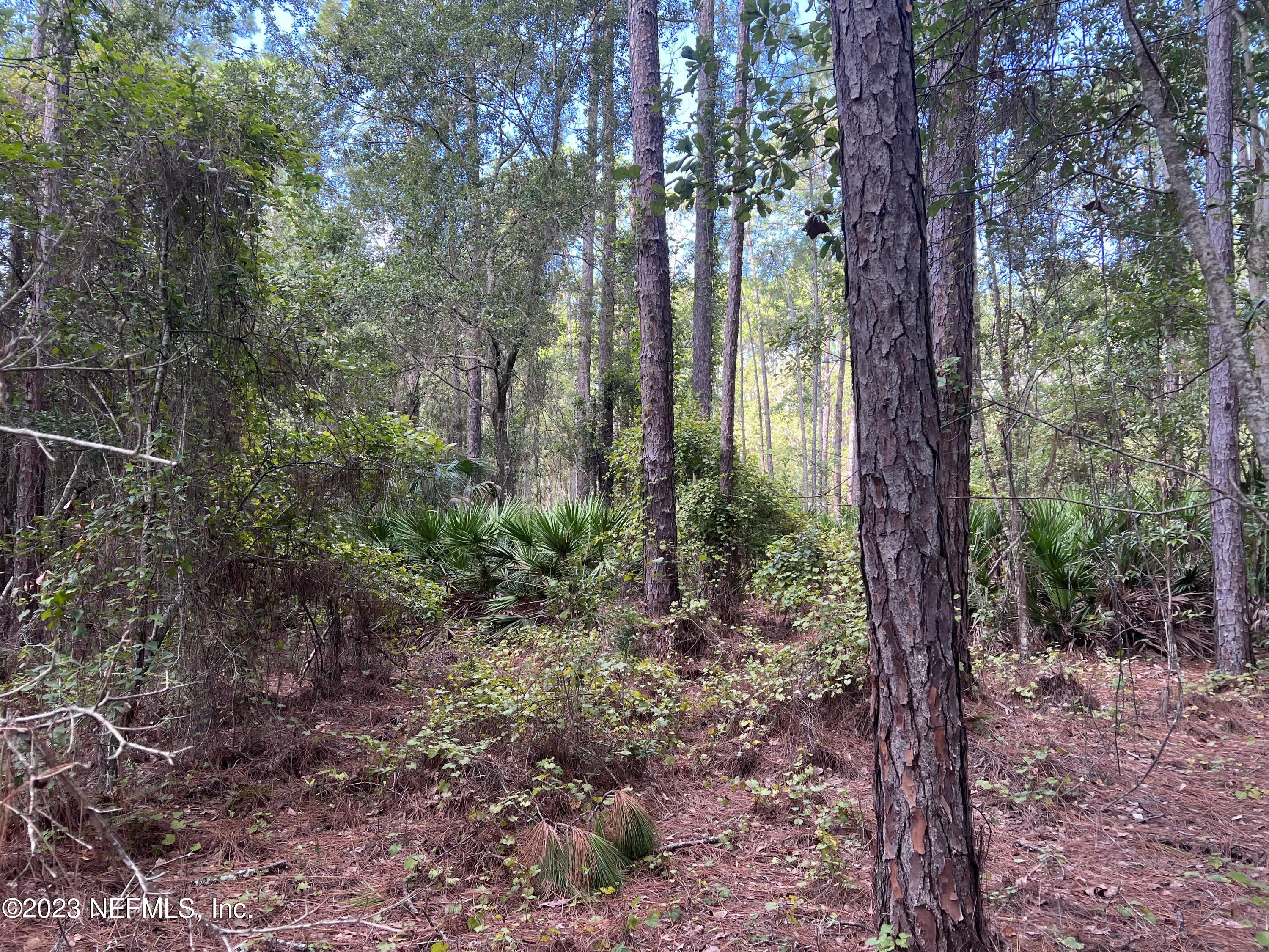 136 Georgetown Denver Road Georgetown, FL 32139 - Photo 30 of 45 IMG_4488