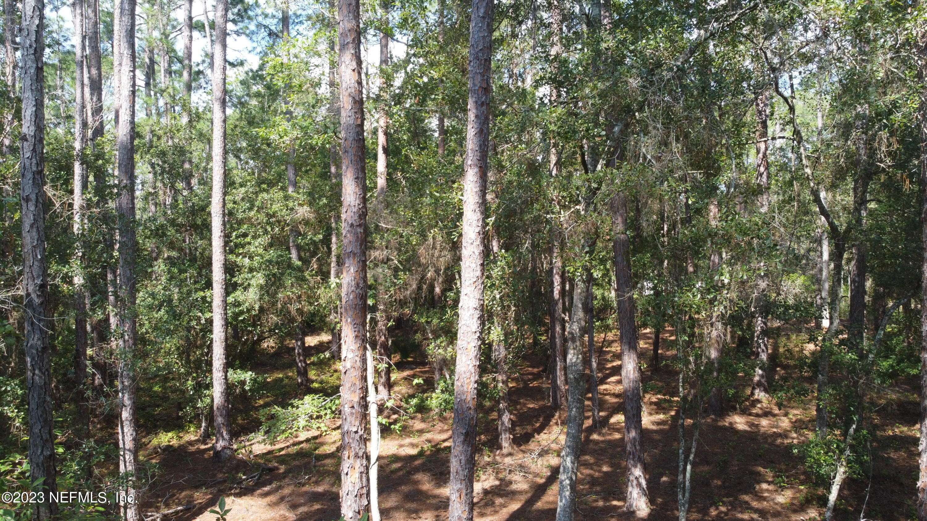 136 Georgetown Denver Road Georgetown, FL 32139 - Photo 8 of 45 8