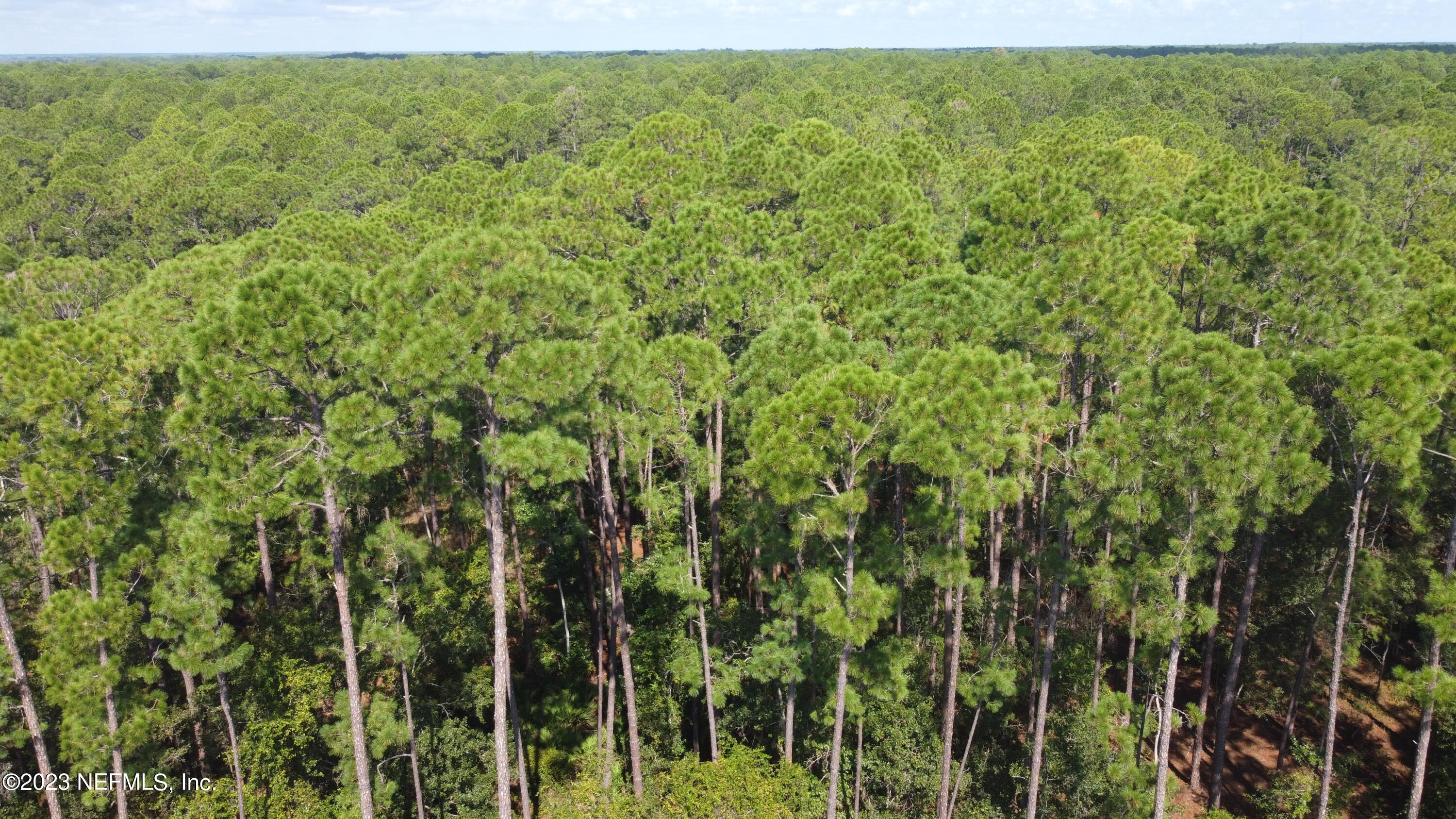 136 Georgetown Denver Road Georgetown, FL 32139 - Photo 10 of 45 17