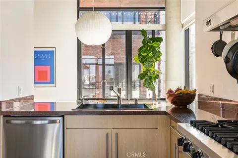 a kitchen with a sink and a potted plant