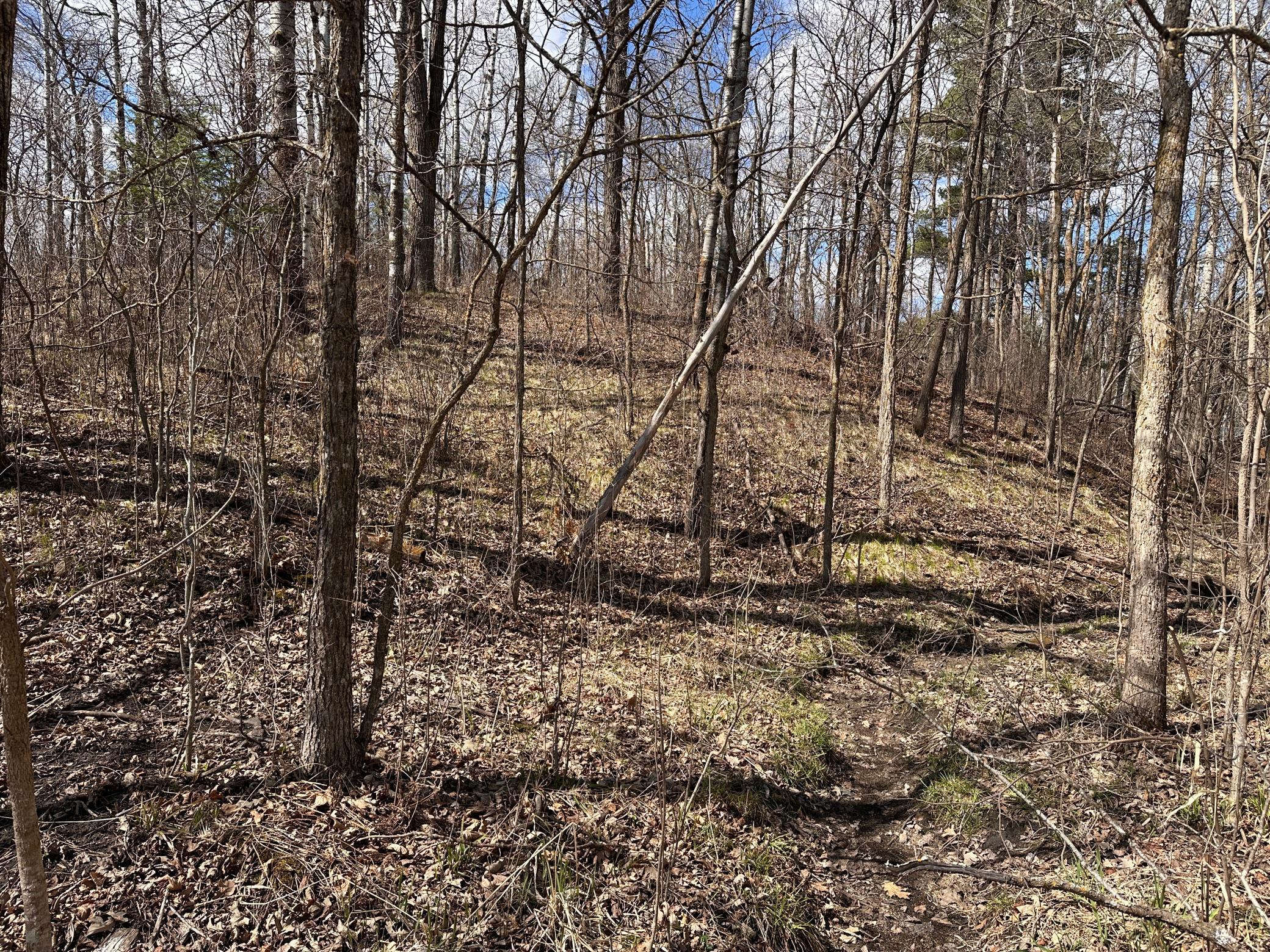 Tbd Bass Lake Road Osage, MN 56570 - Photo 25 of 30