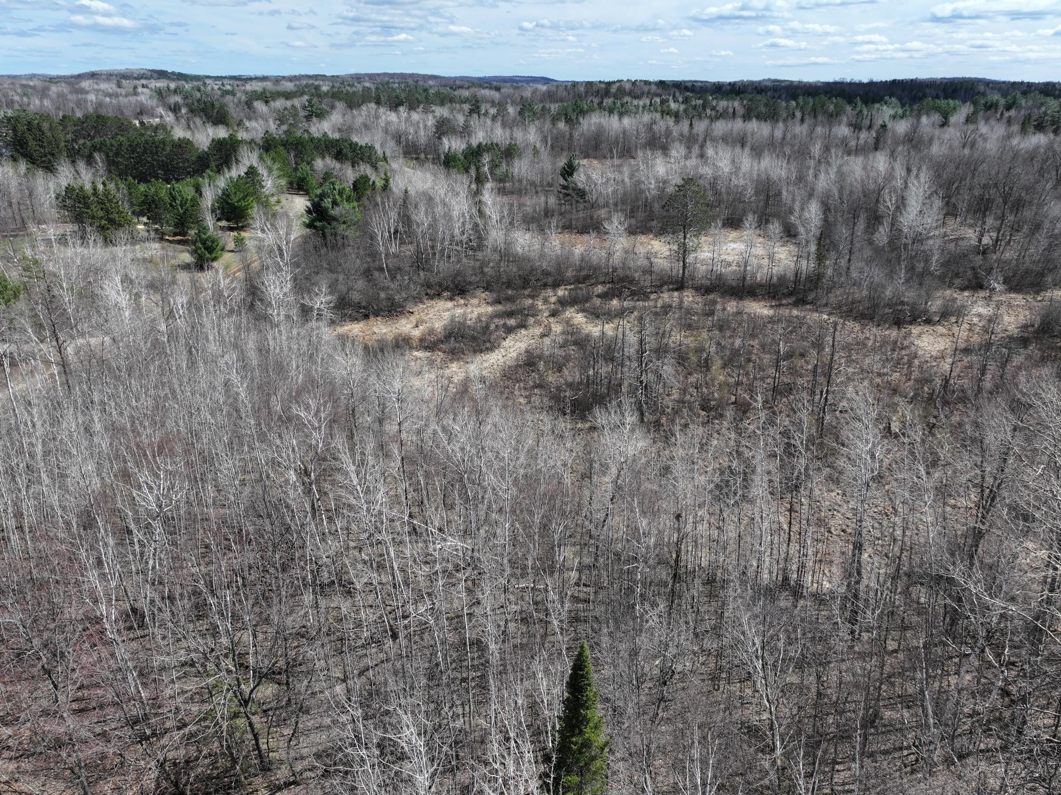 Tbd Bass Lake Road Osage, MN 56570 - Photo 5 of 30
