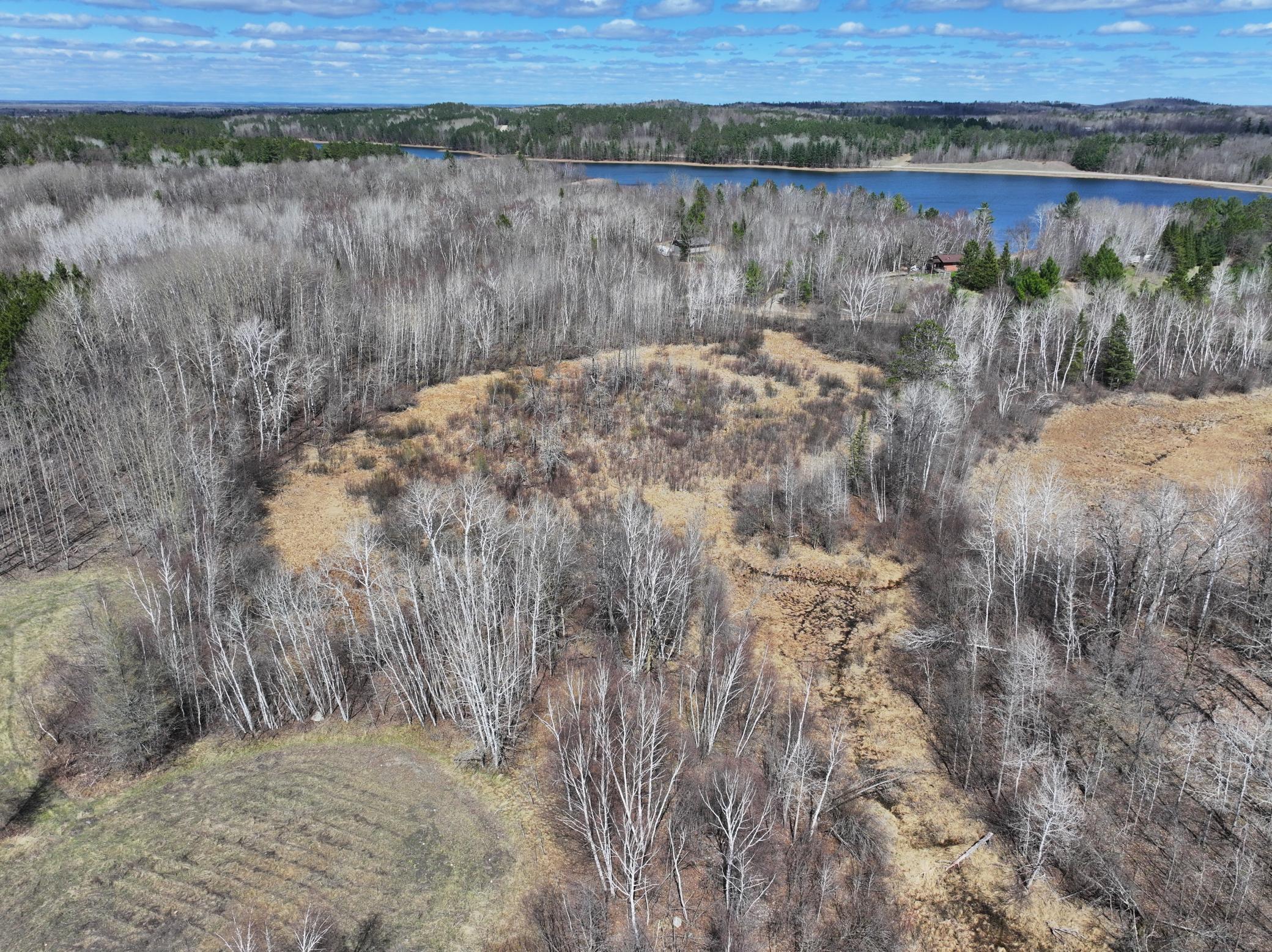 Tbd Bass Lake Road Osage, MN 56570 - Photo 7 of 30