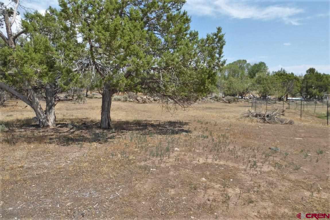 19850 2325th Road Cedaredge, CO 81413 - Photo 33 of 35 a view of dirt yard with a tree