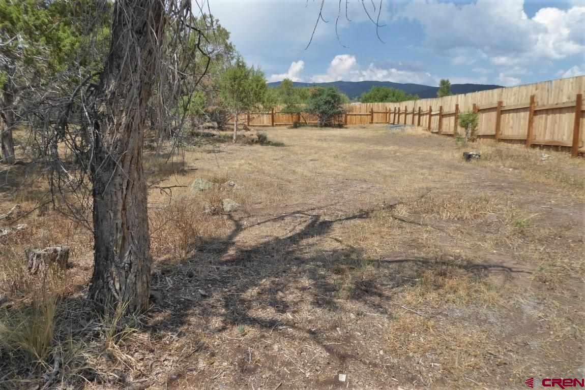 19850 2325th Road Cedaredge, CO 81413 - Photo 34 of 35 a view of a yard with a tree