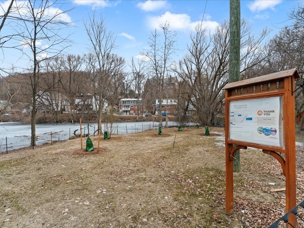 40 Lake Shore Road Boston, MA 02135 - Photo 37 of 39