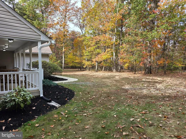 a view of backyard with green space