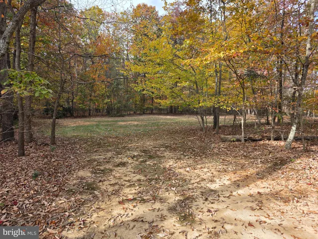 a view of a yard with a trees
