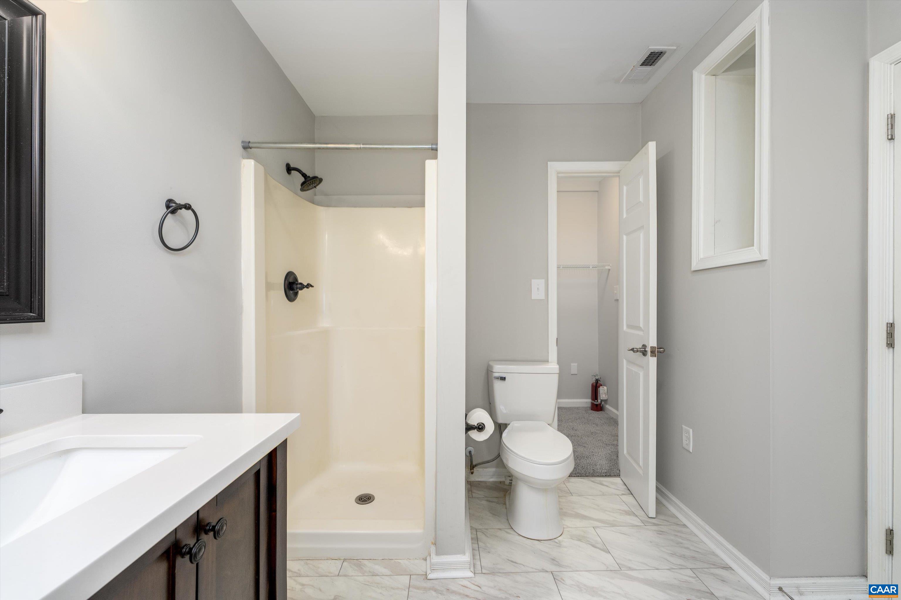 162 Larkspur Road Ruckersville, VA 22968 - Photo 22 of 43 Primary Vanity Detailed Pic