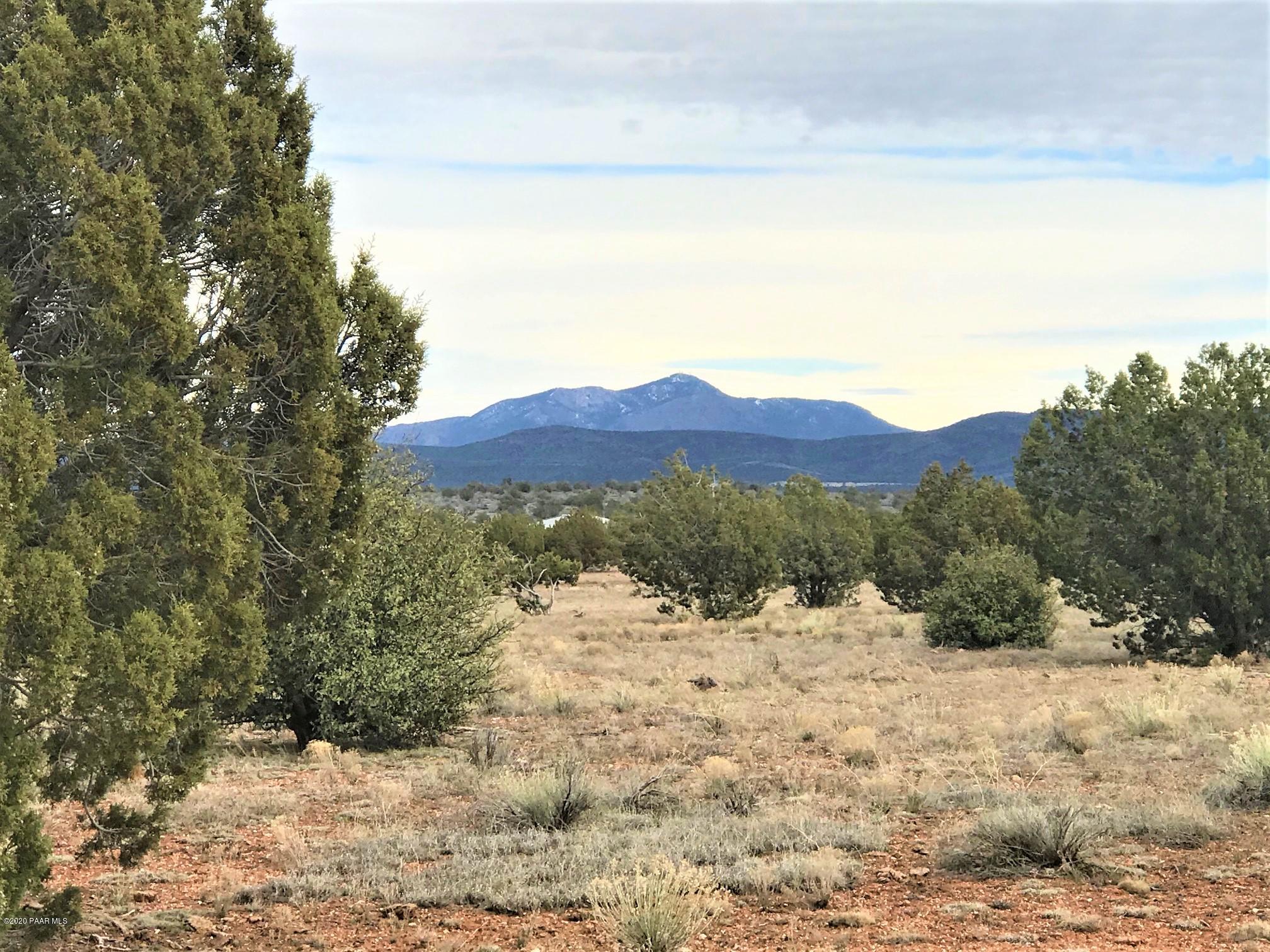 65 Poppy Road Ash Fork, AZ 86320 - Photo 1 of 15 IMG_9291