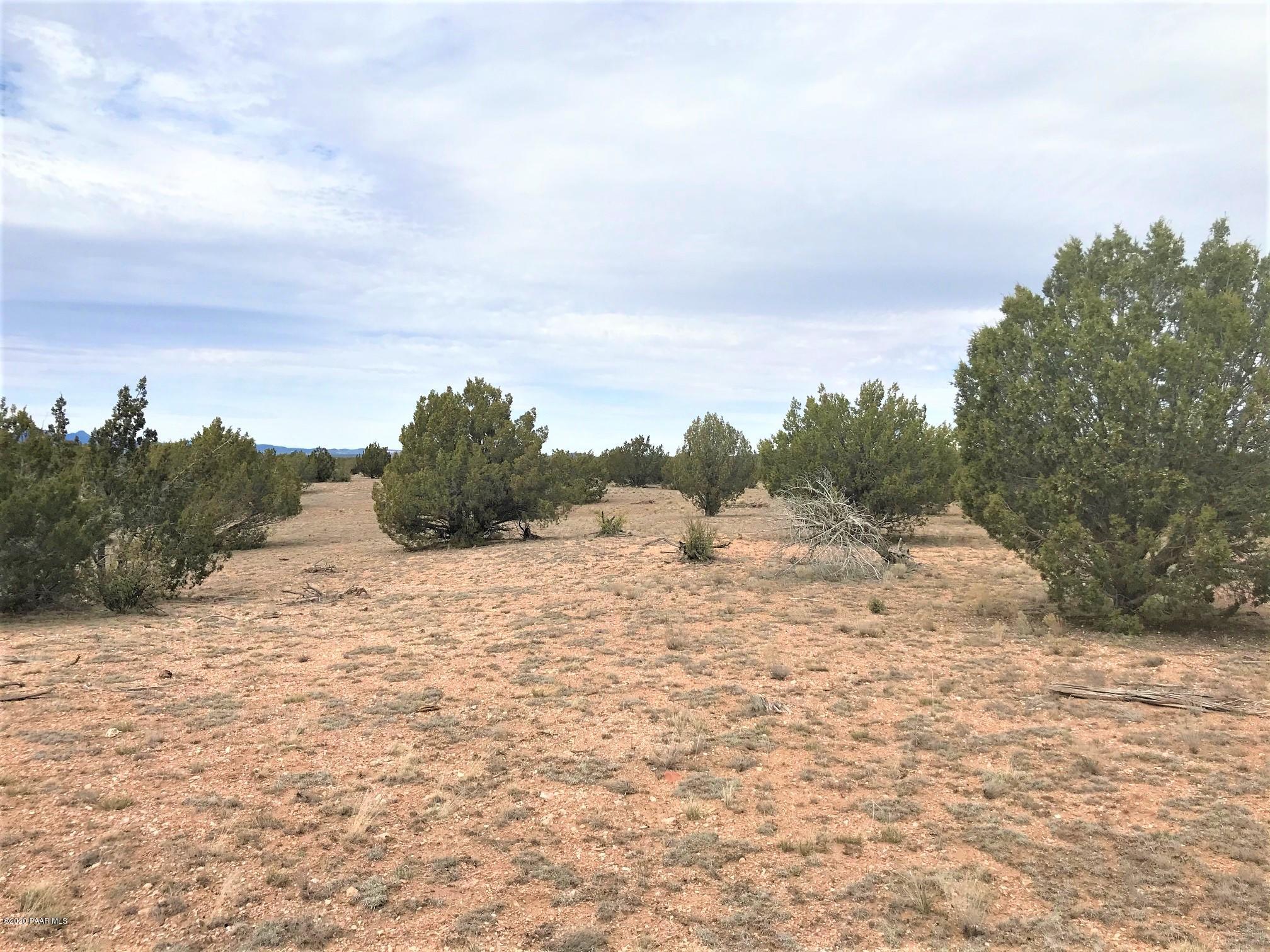65 Poppy Road Ash Fork, AZ 86320 - Photo 13 of 15 IMG_9287