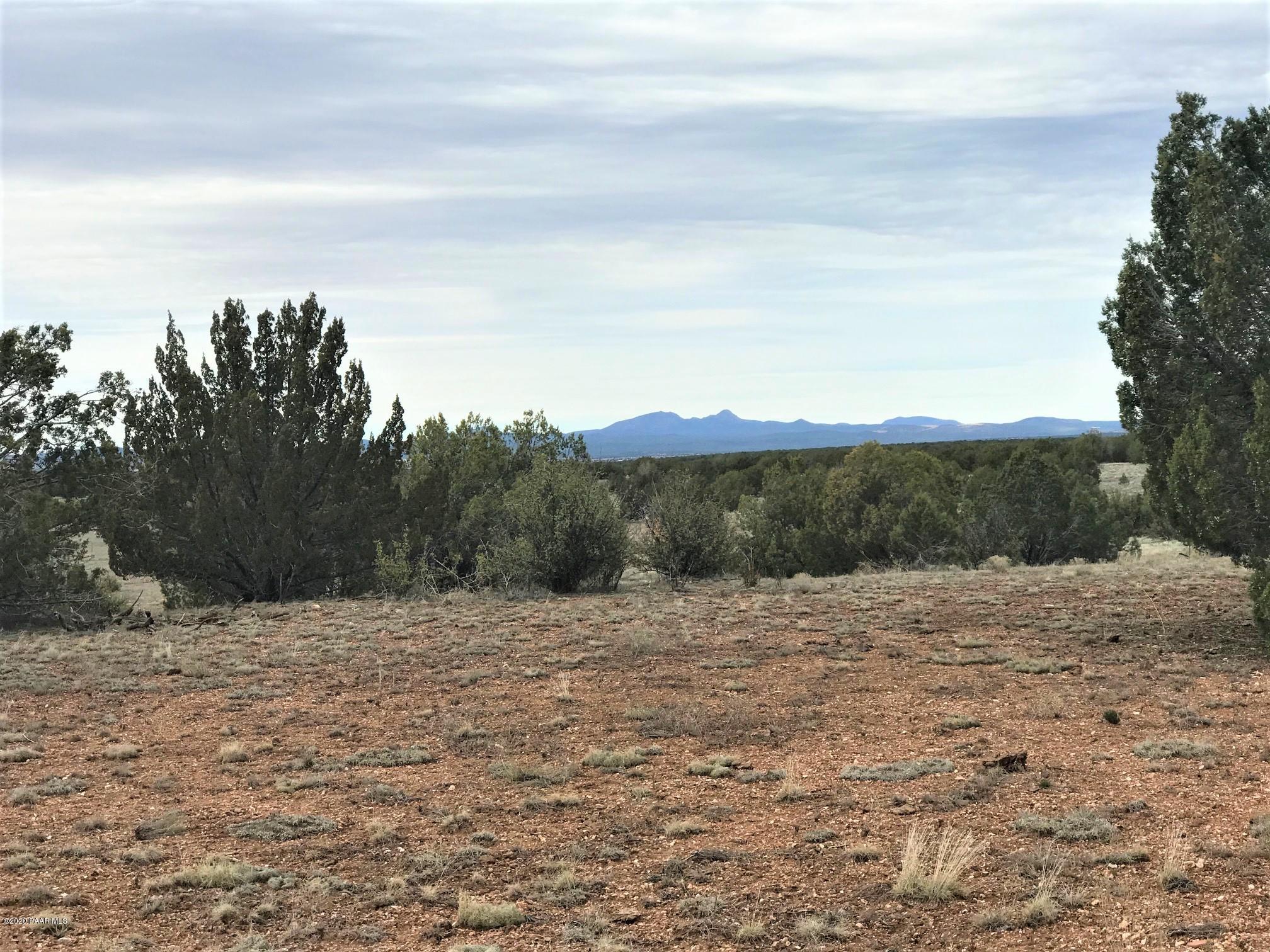 65 Poppy Road Ash Fork, AZ 86320 - Photo 14 of 15 IMG_9289