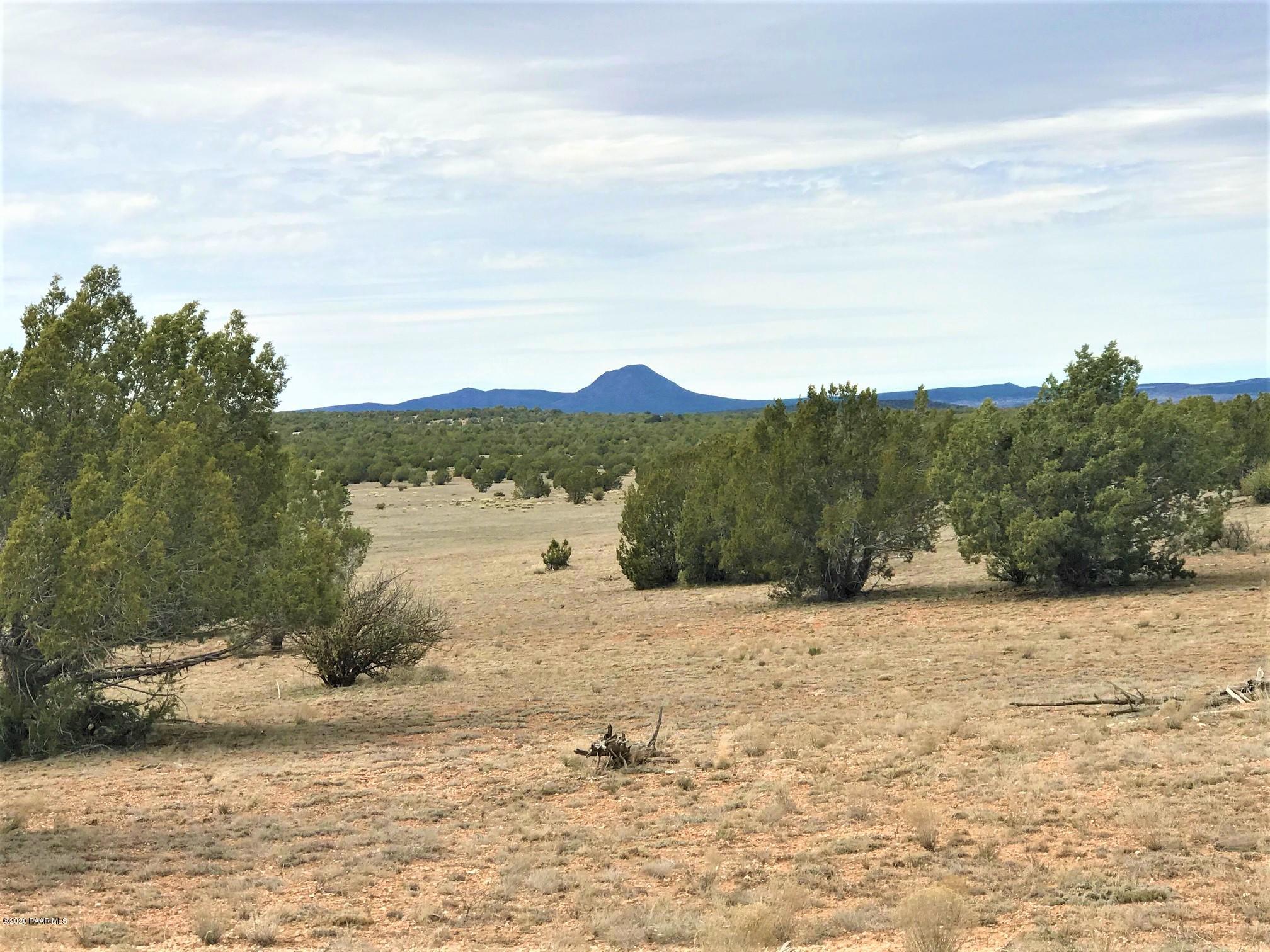 65 Poppy Road Ash Fork, AZ 86320 - Photo 3 of 15 IMG_9288
