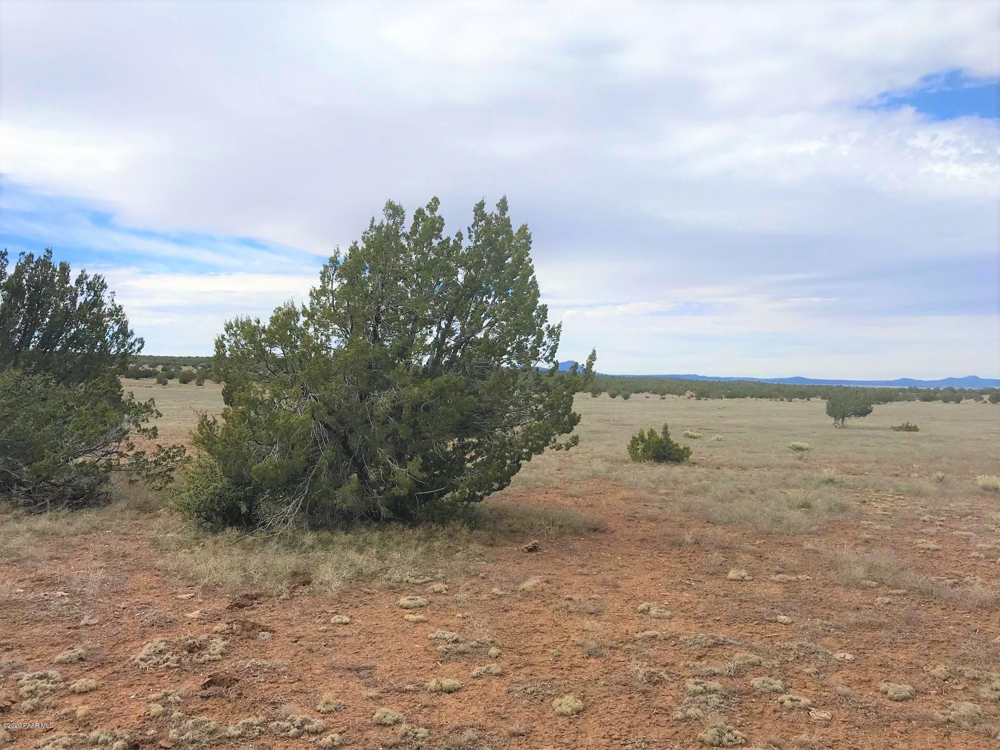 65 Poppy Road Ash Fork, AZ 86320 - Photo 5 of 15 IMG_9278