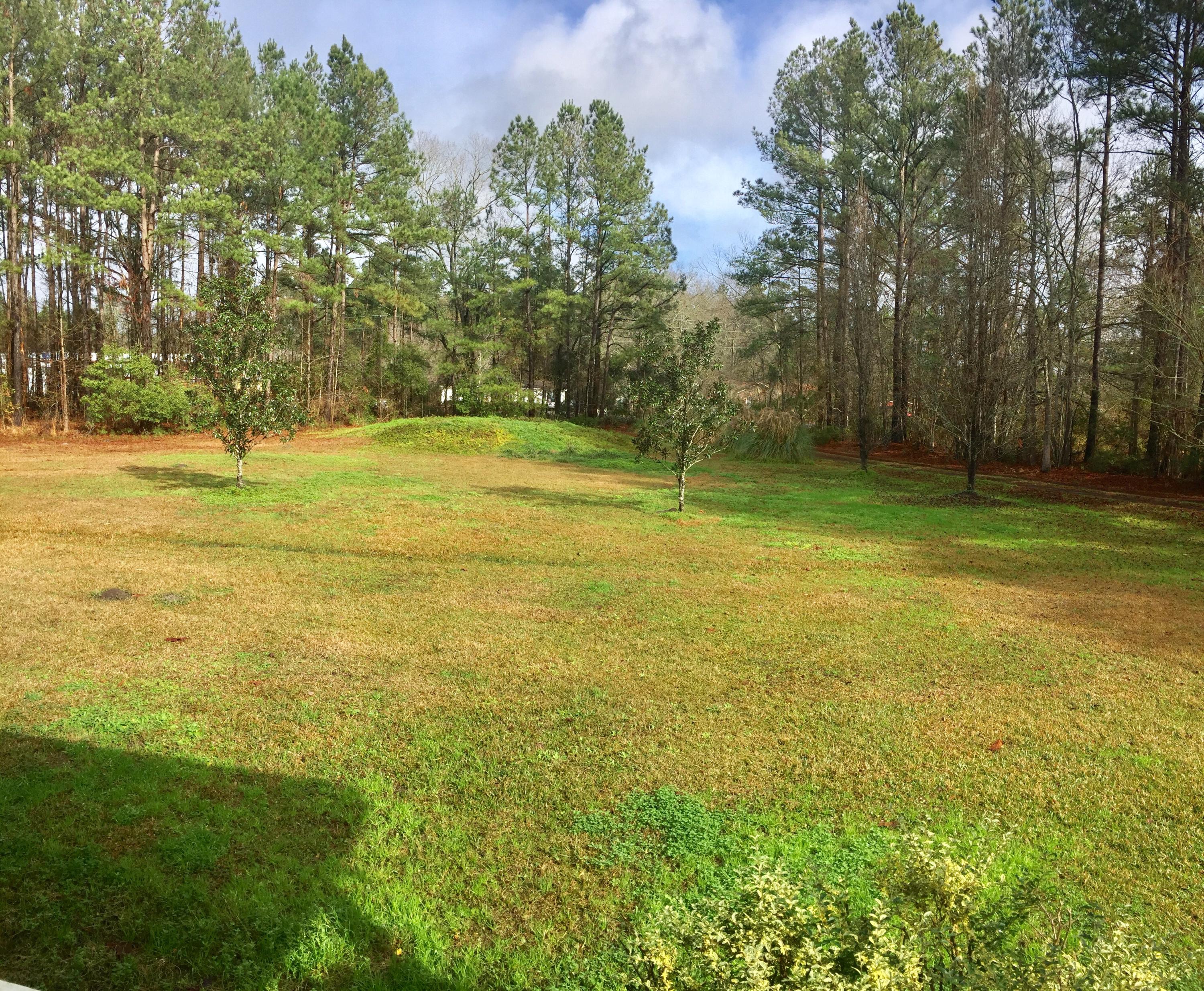 1821 Highway 61 Ridgeville, SC 29472 - Photo 2 of 20 IMG_5868