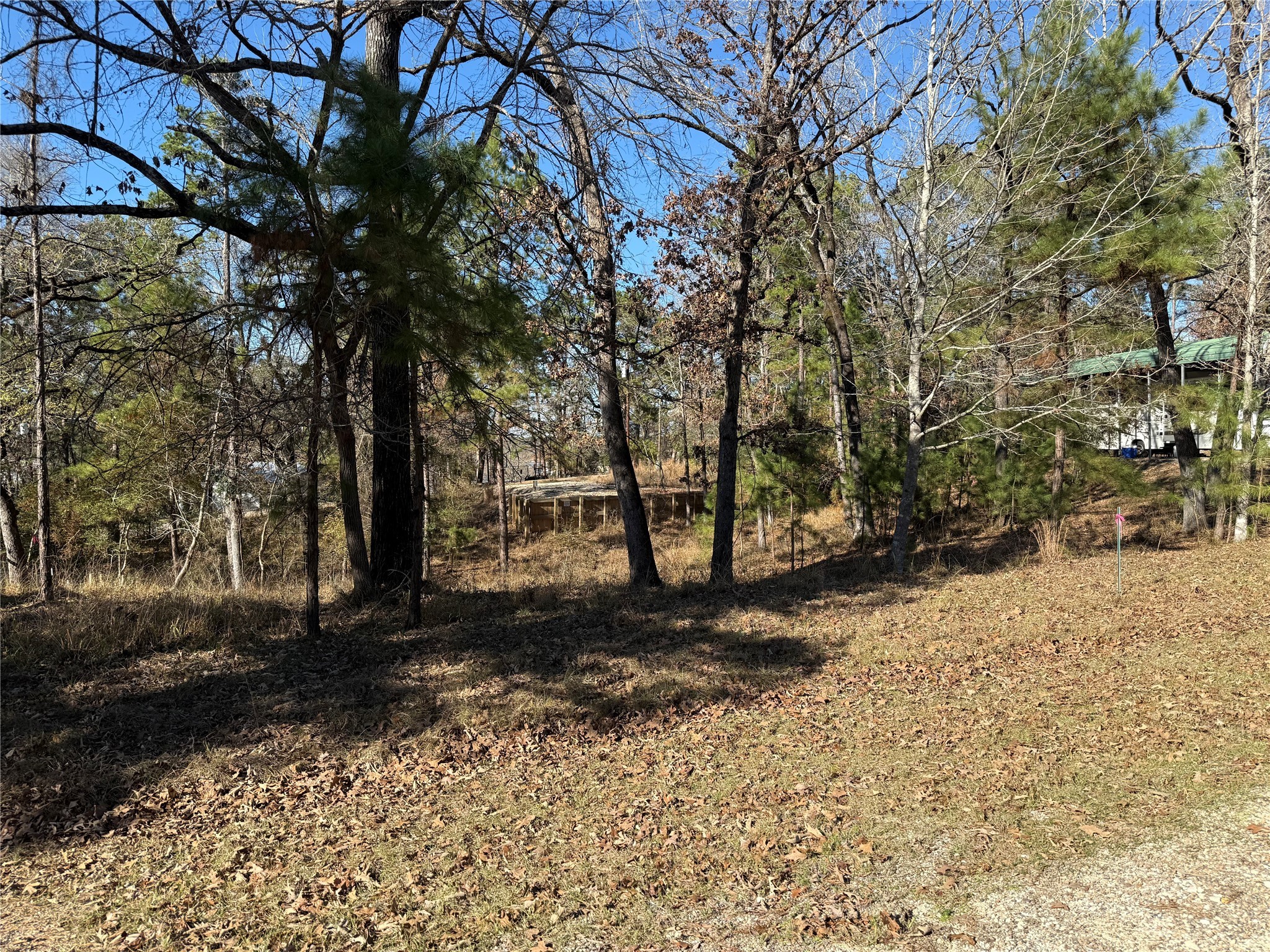 310 Oakwood Lane Trinity, TX 75862 - Photo 11 of 14 a view of a yard with trees