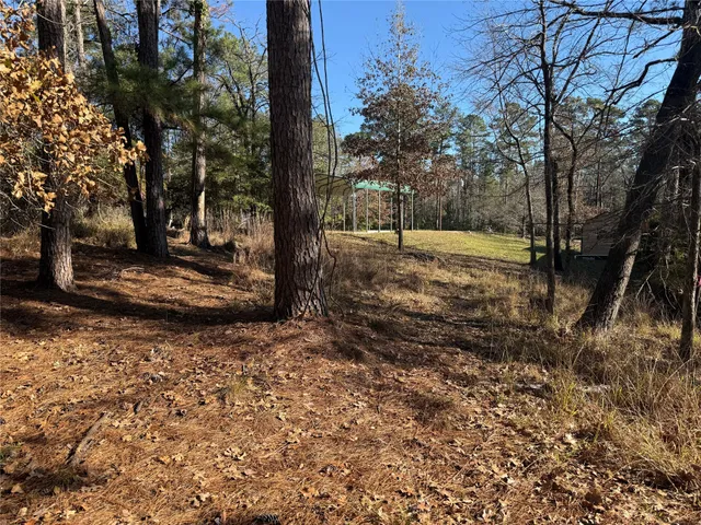 a view of a tree in the middle of a yard