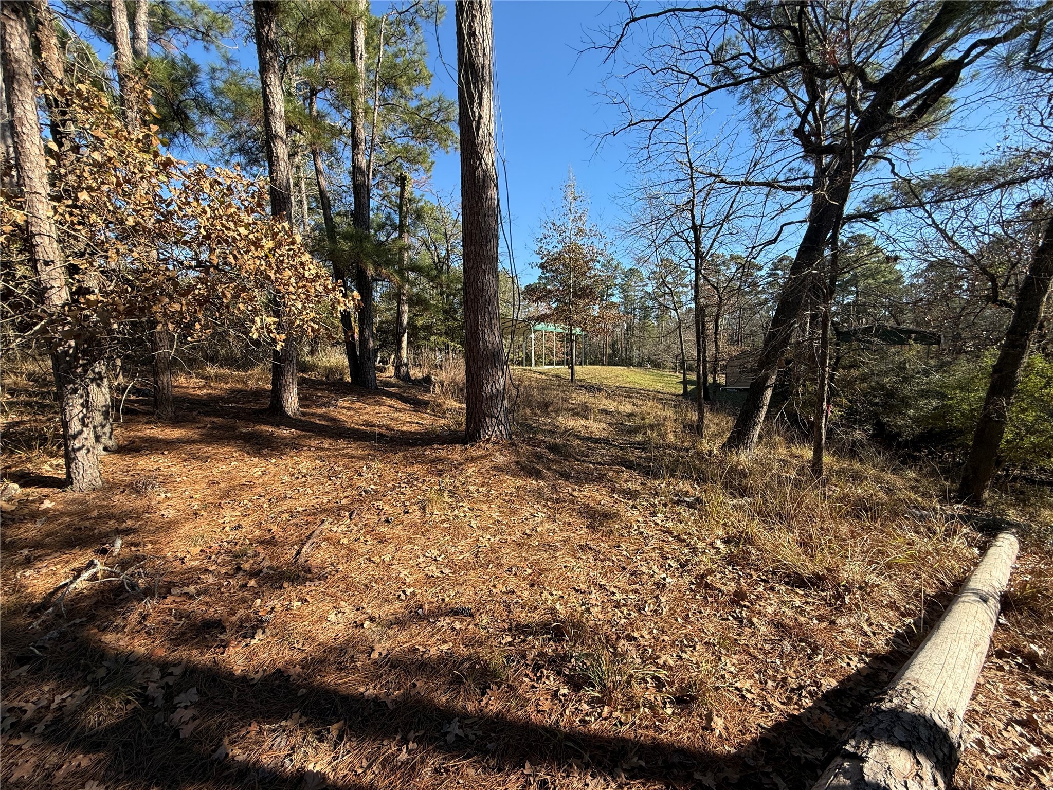 310 Oakwood Lane Trinity, TX 75862 - Photo 13 of 14 a backyard of a house with lots of green space