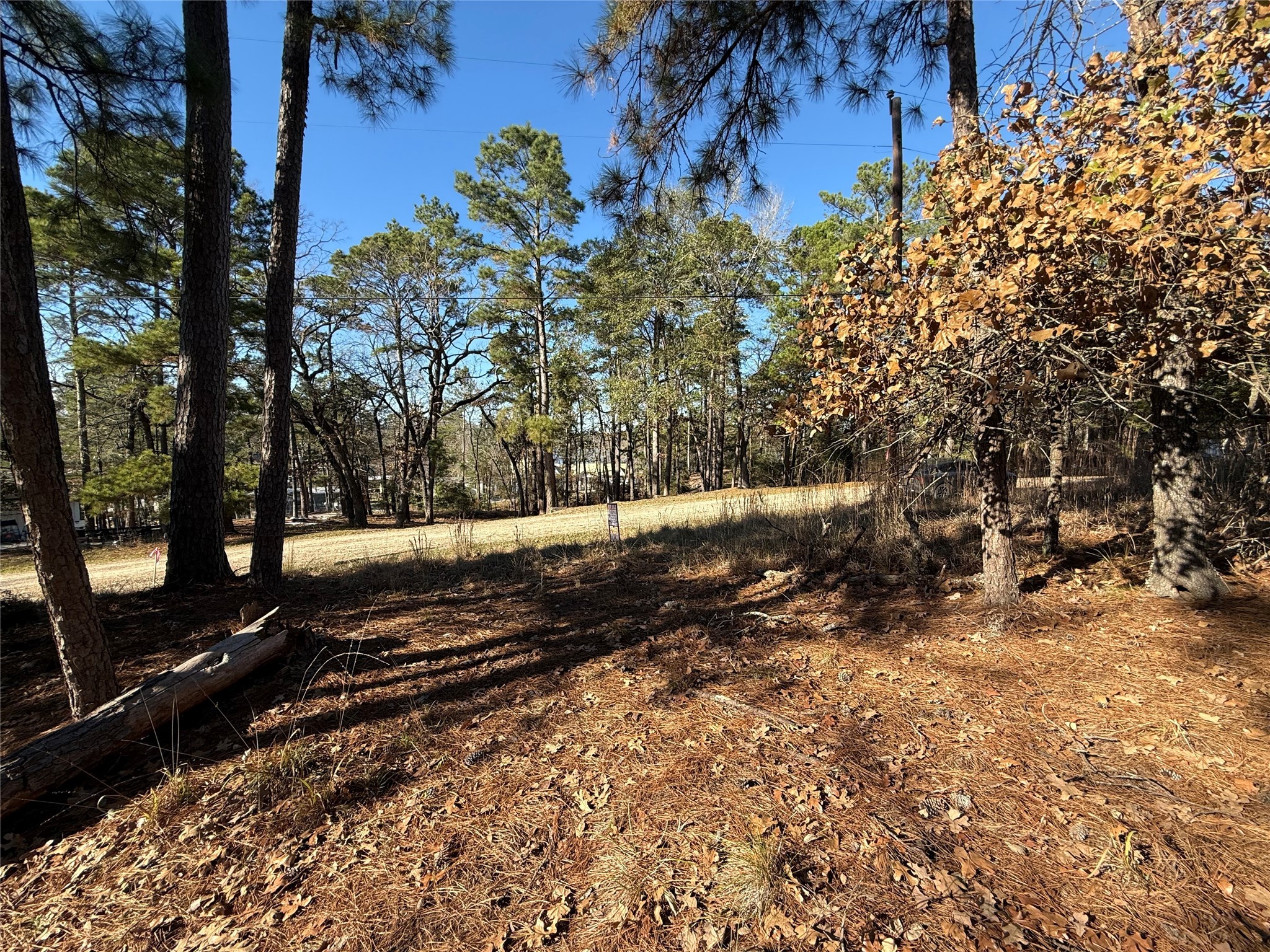 310 Oakwood Lane Trinity, TX 75862 - Photo 14 of 14 a view of a yard with trees