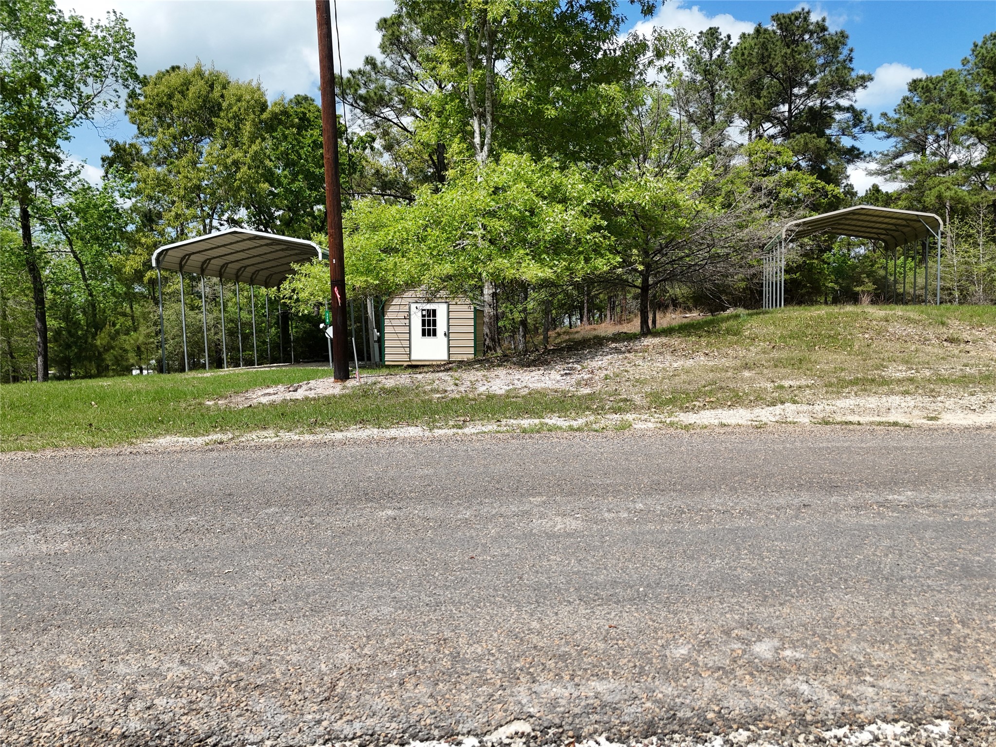 310 Oakwood Lane Trinity, TX 75862 - Photo 14 of 24 a view of a yard with of trees