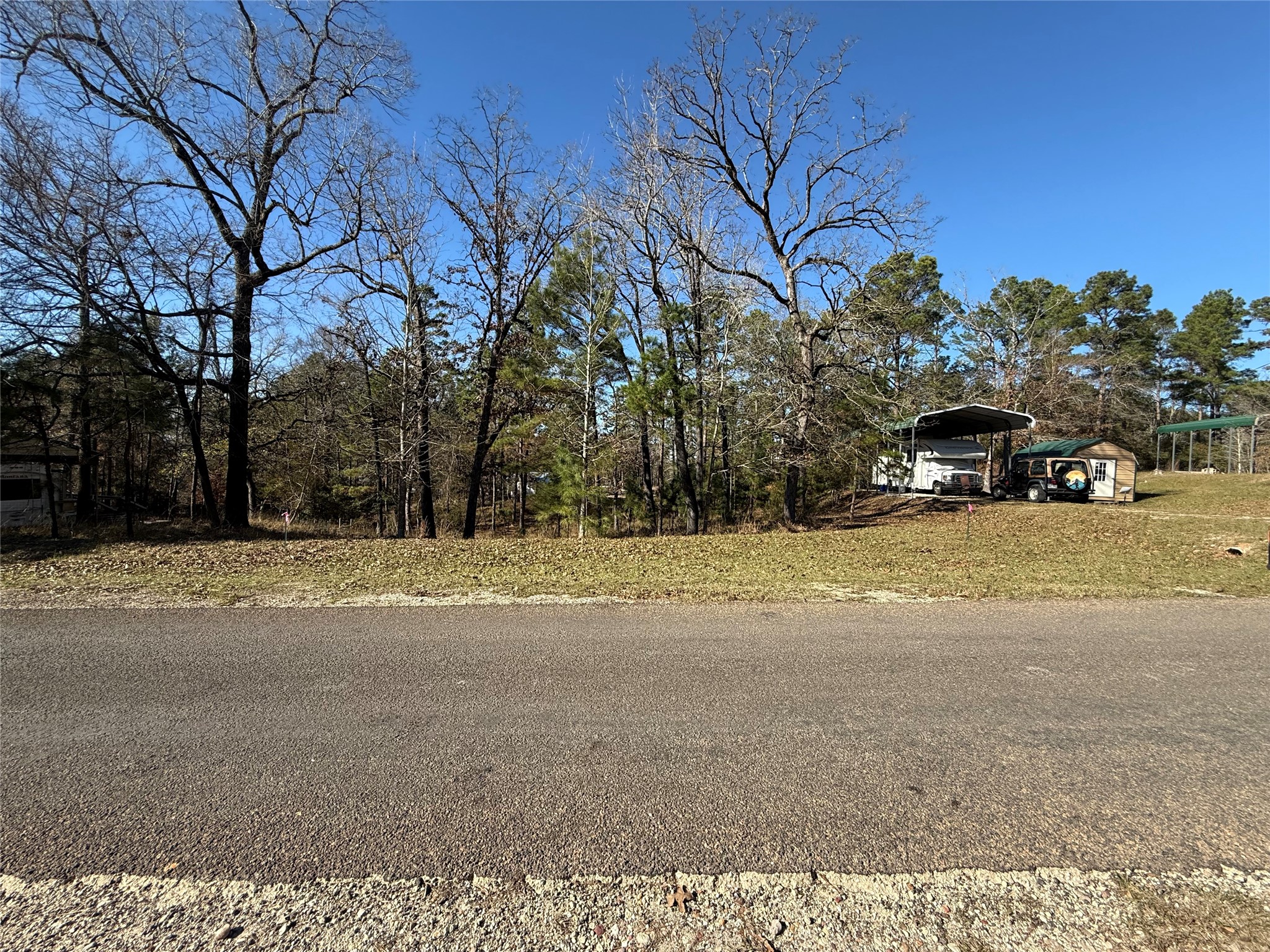 310 Oakwood Lane Trinity, TX 75862 - Photo 17 of 24 a view of road and trees