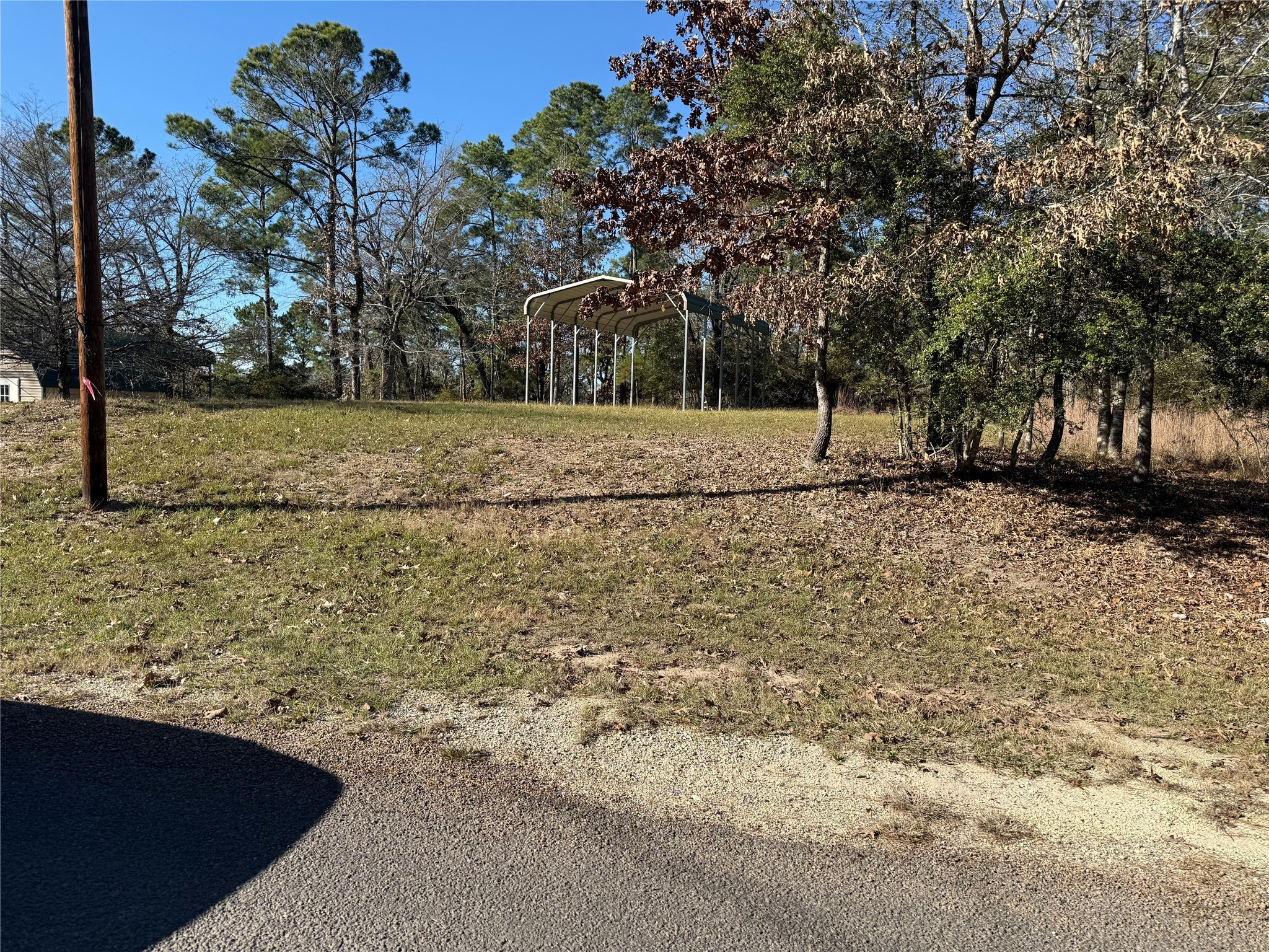 310 Oakwood Lane Trinity, TX 75862 - Photo 4 of 14 a view of backyard with green space