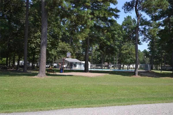 a view of a tiny house with a yard and large trees