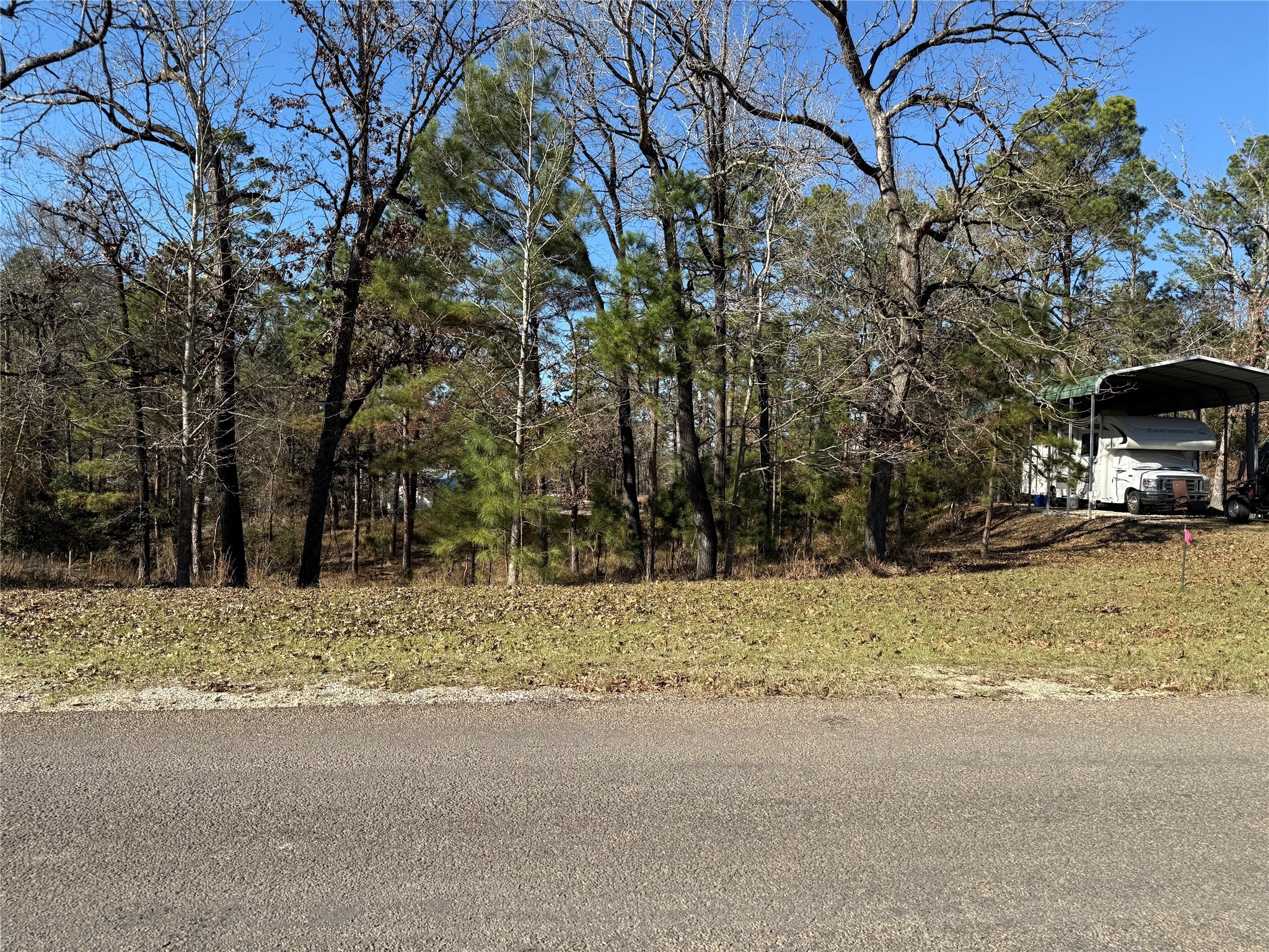 310 Oakwood Lane Trinity, TX 75862 - Photo 8 of 14 a view of a yard with snow