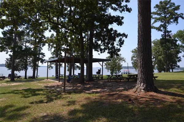 a view of road and trees