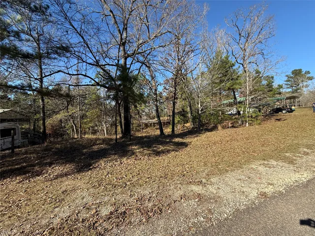 a view of road and trees