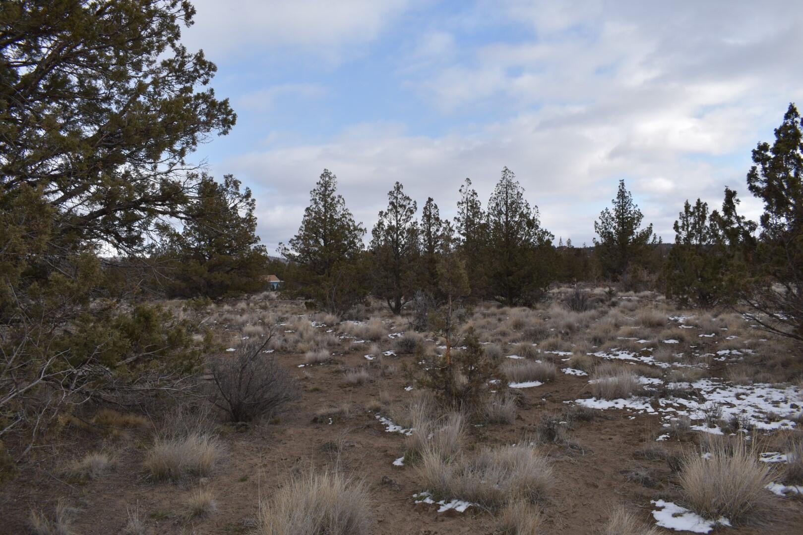 Southeast Navajo Road Prineville, OR 97754 - Photo 10 of 22 DSC_0218