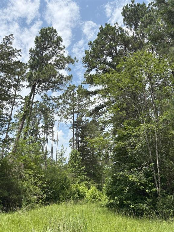 425 County Road 425 Tenaha, TX 75974 - Photo 11 of 12 a backyard of a house with lots of green space and lake view