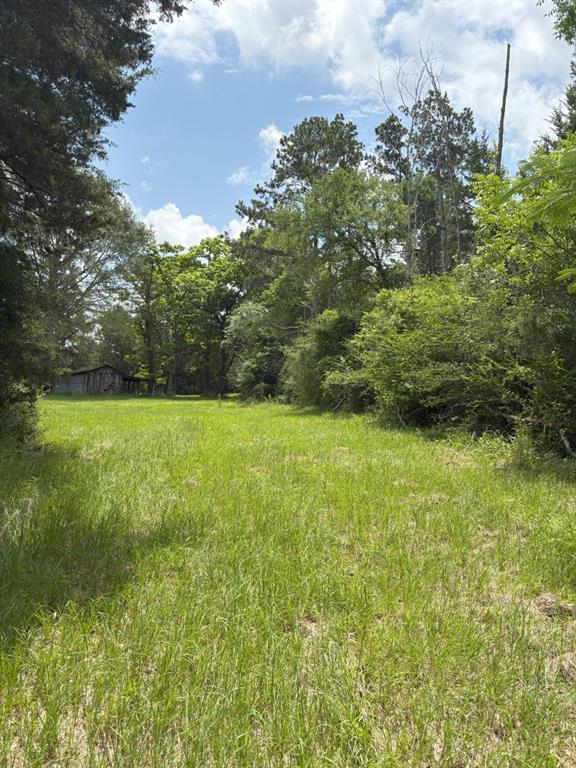 425 County Road 425 Tenaha, TX 75974 - Photo 12 of 12 a view of yard with green space
