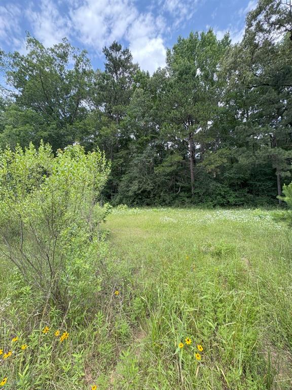 425 County Road 425 Tenaha, TX 75974 - Photo 2 of 12 a view of outdoor space and yard