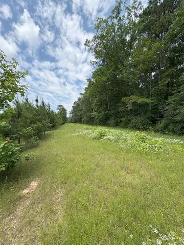 a backyard of a house with lots of green space and lake view