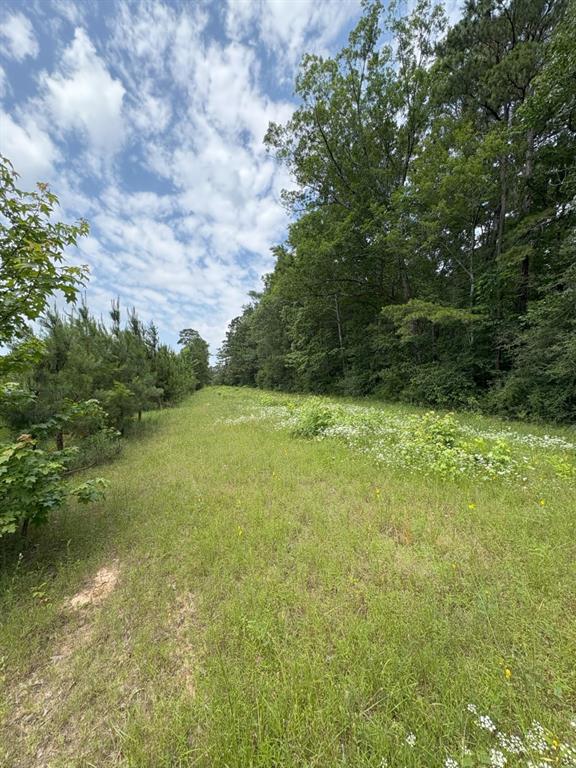 425 County Road 425 Tenaha, TX 75974 - Photo 3 of 12 a backyard of a house with lots of green space and lake view