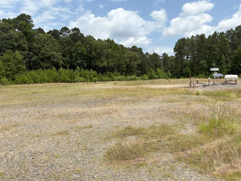 425 County Road 425 Tenaha, TX 75974 - Photo 5 of 12 a view of a lake view