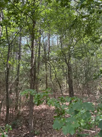 a backyard of a house with lots of trees