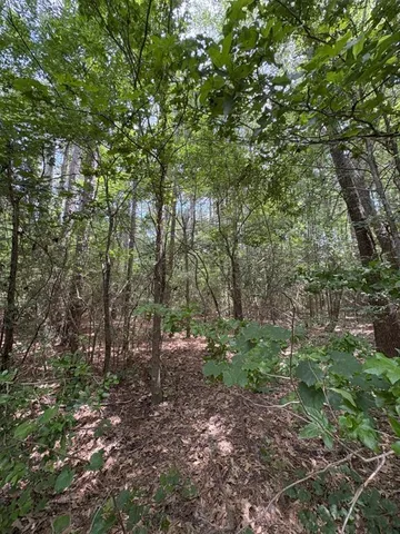 a view of outdoor space with lots of trees