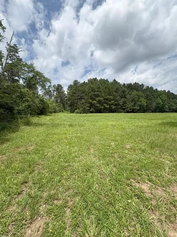 a view of a field with an ocean and trees