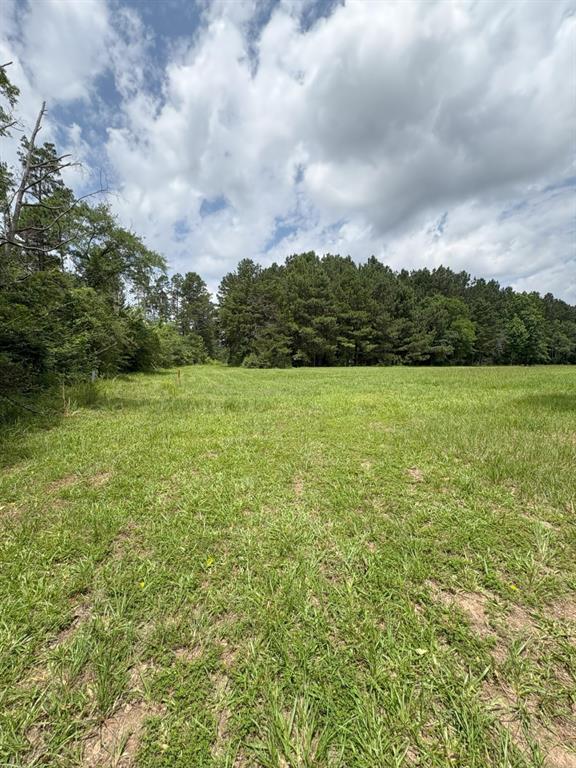 425 County Road 425 Tenaha, TX 75974 - Photo 9 of 12 a view of a field with an ocean and trees
