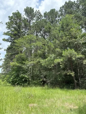 a view of a garden
