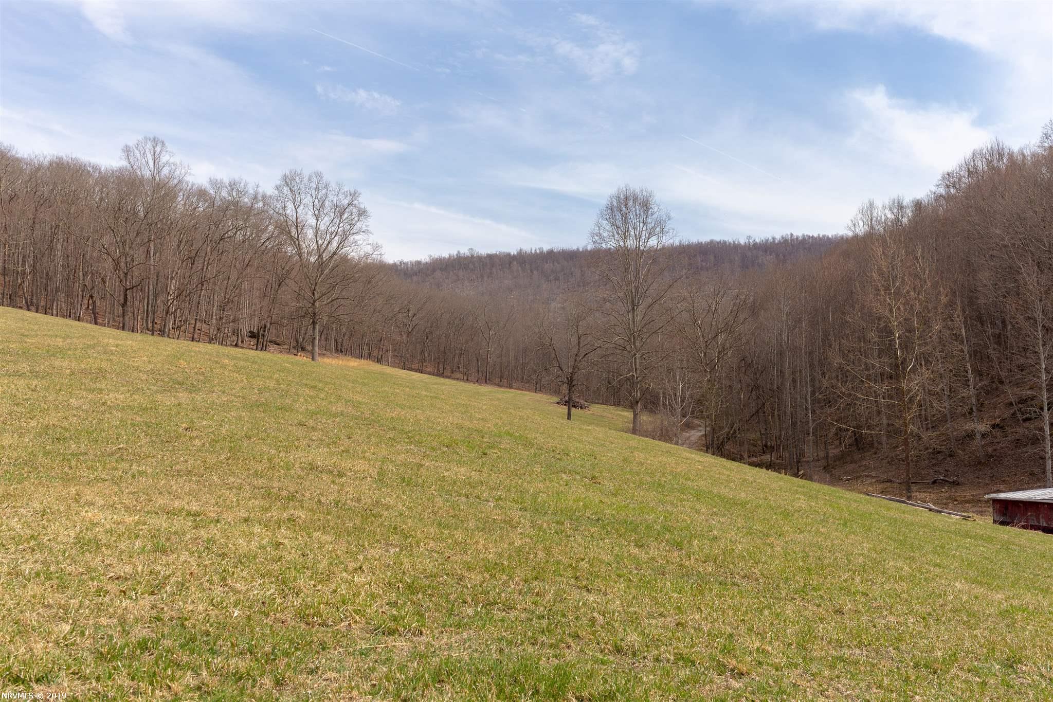 339 Spruce Run Road Newport, VA 24128 - Photo 9 of 23 Gallery Image 9